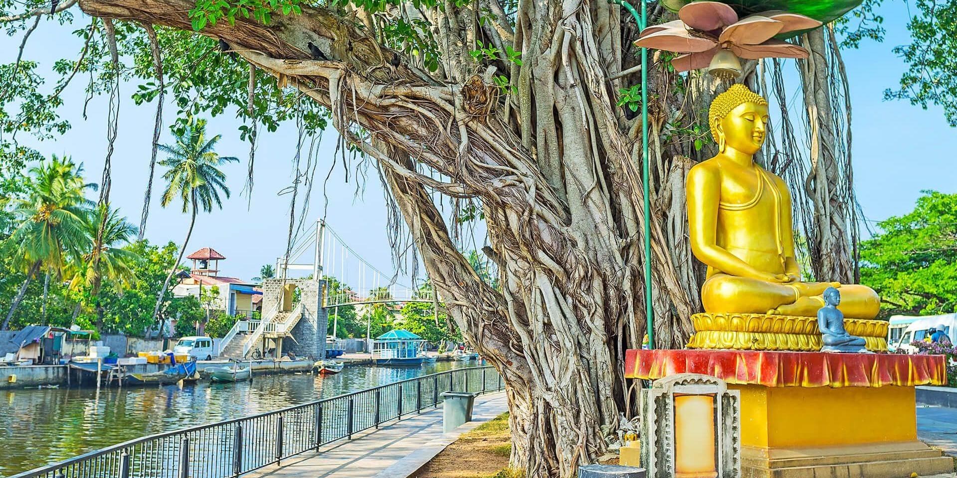 Mirissa zum Flughafen Colombo – Abflug