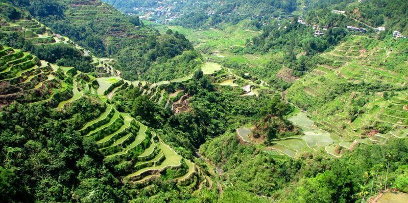 BANAUE