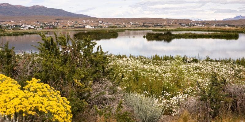 EL CALAFATE / PARCO NAZIONALE LOS GLACIARES / EL CALAFATE