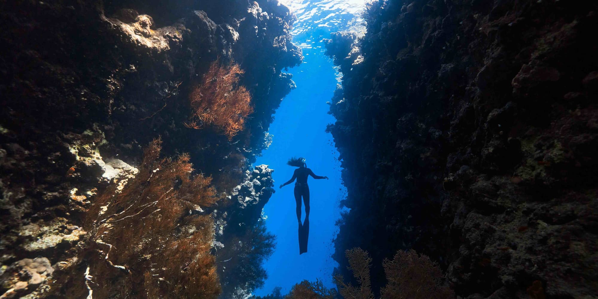 Jour 2 : Hurghada - Thistlegorm