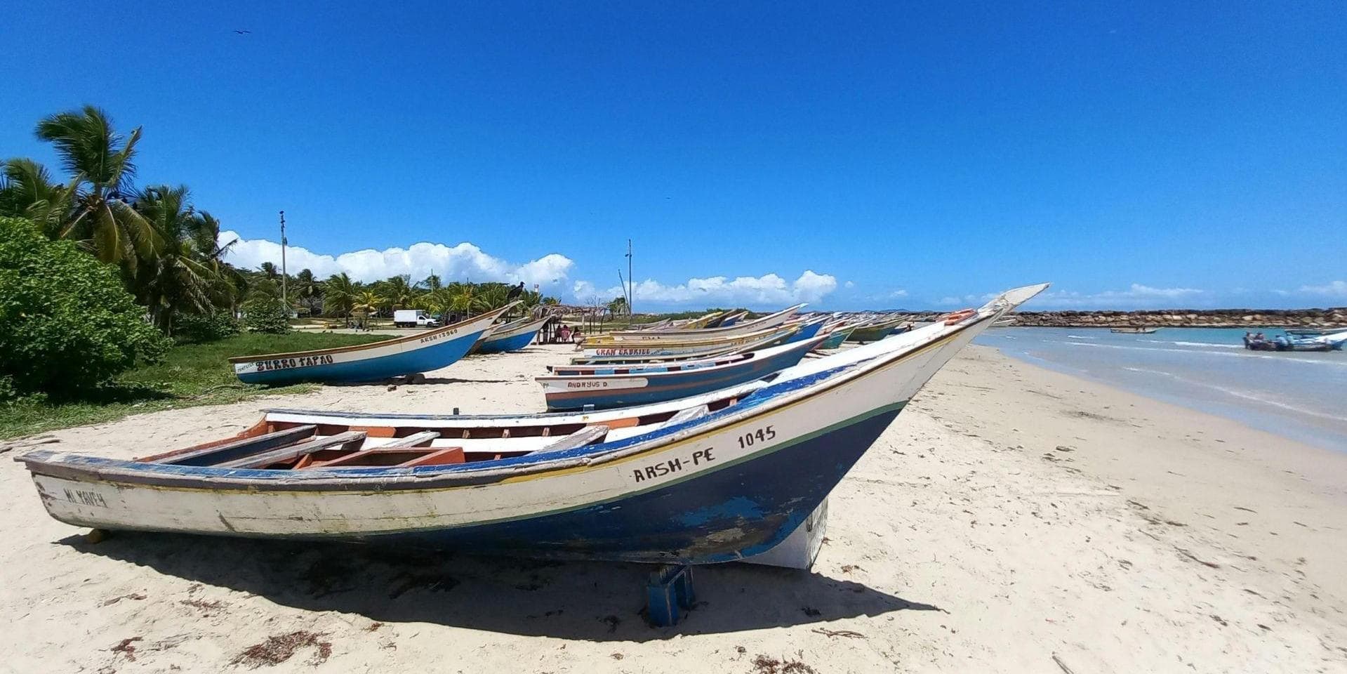 Jour 8 : Ranohira - Tulear / Ifaty (Environ 265 kms 7h30)