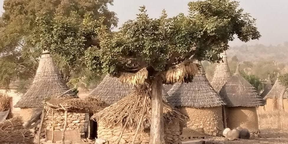 Day 12 : Poli - Ngaoundere - Train