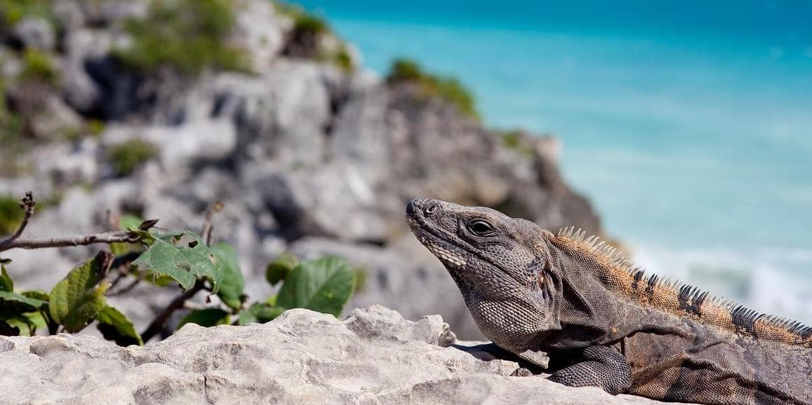 12º Giorno - Riviera Maya