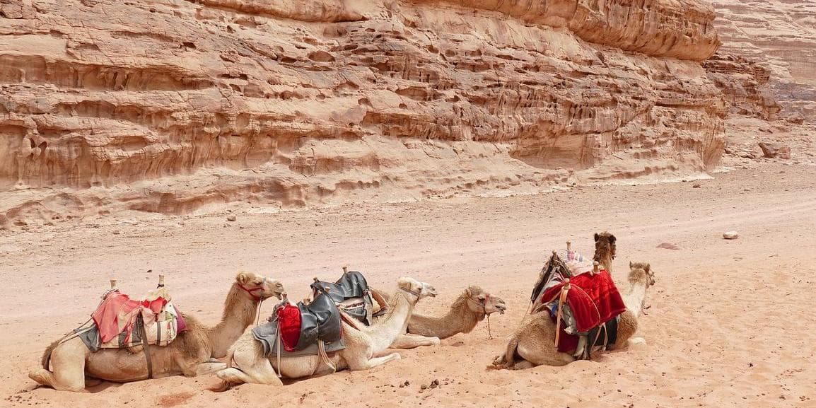 Día 9 | Lunes | AMMAN - MADABA - NEBO - PETRA