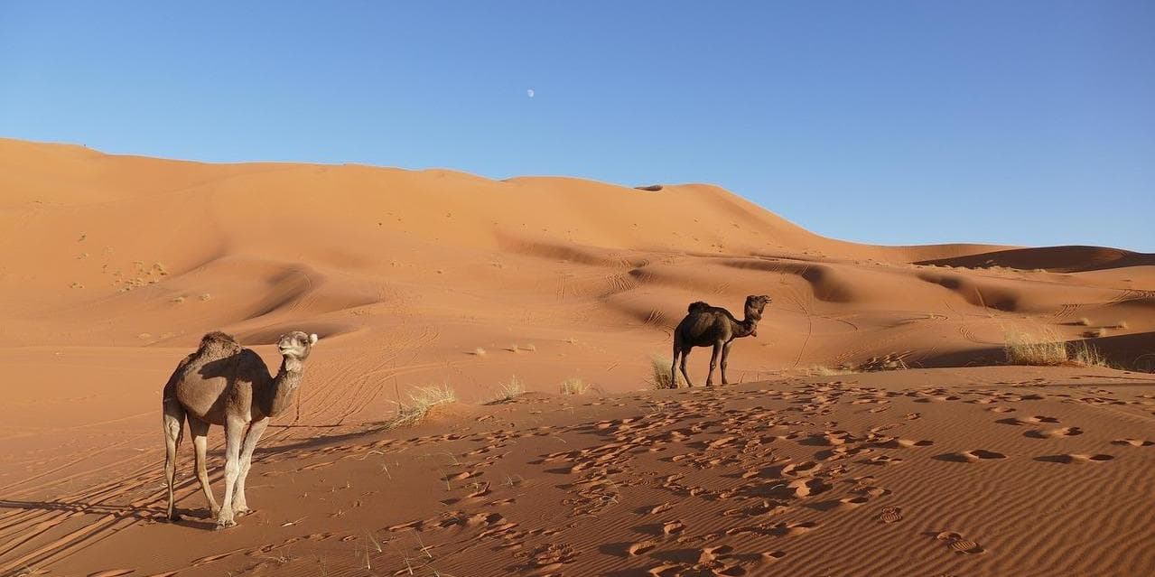 Jour 4: Zagora – Alnif - Merzouga