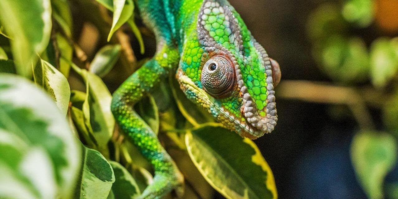 Day 1 Diégo-Suarez (Antsiranana)