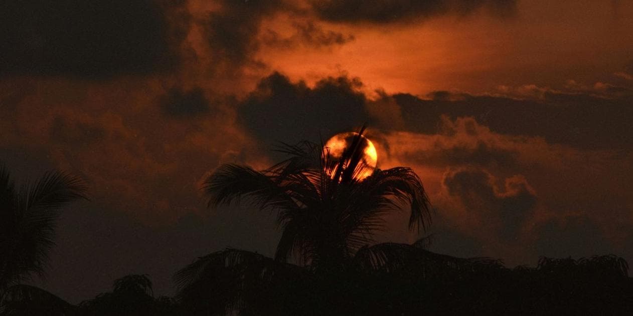 7º Giorno - Huatulco