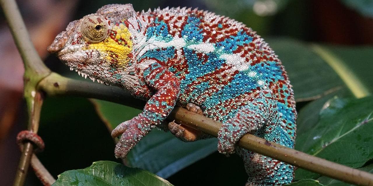 Day 3 Diégo-Suarez (Antsiranana) 