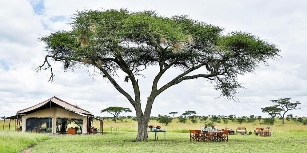  Día 8 | Martes 26 de Mayo | Serengueti