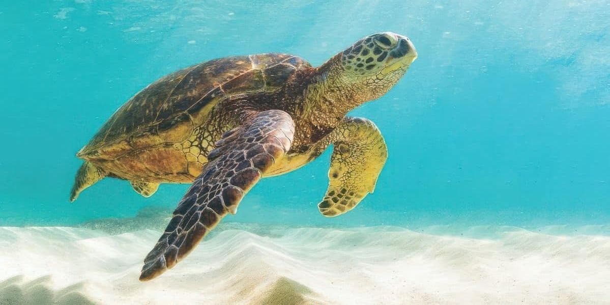 Día 11 | Viernes 29 de Mayo | Arusha