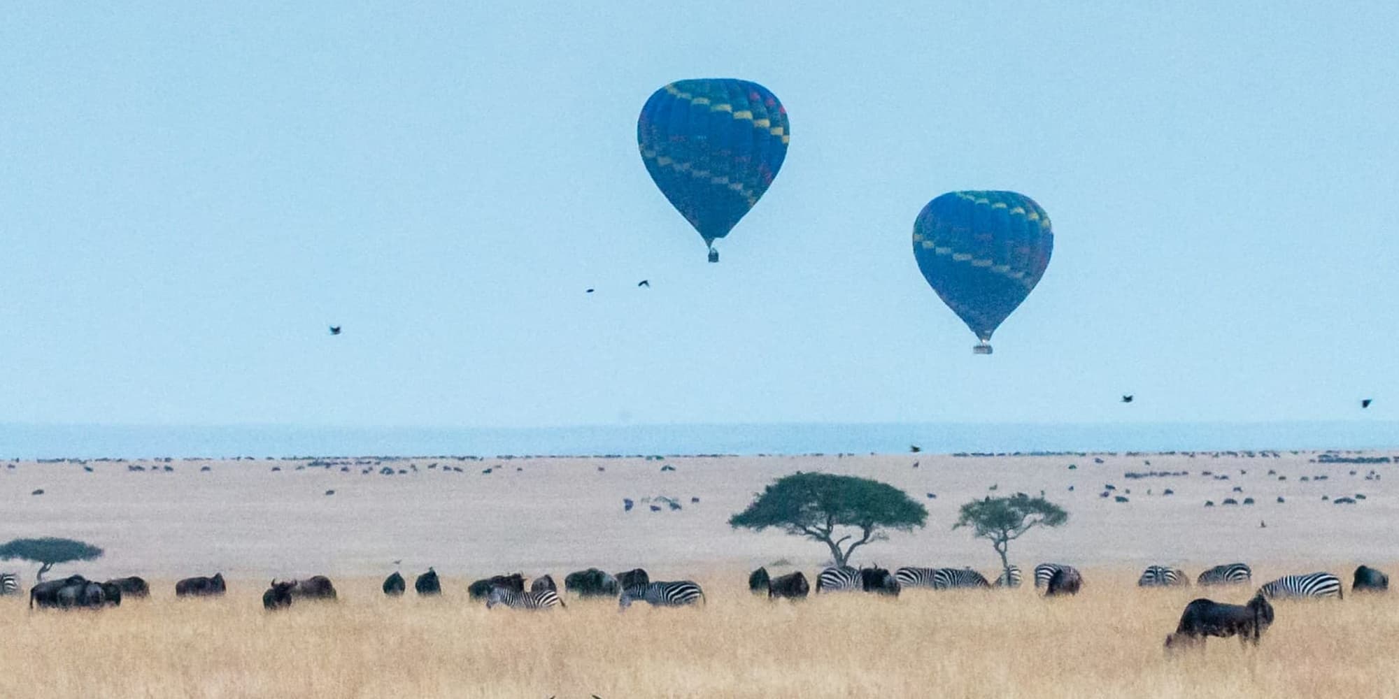 5° giorno:   MASAI MARA GAME RESERVE