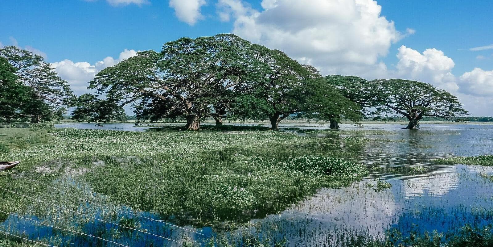 Tissamaharama nach Mirissa – Besichtigung unterwegs