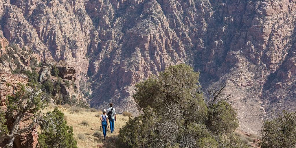 Jour 2 : Amman – Châteaux de Kerak – Dana Reserve naturelle