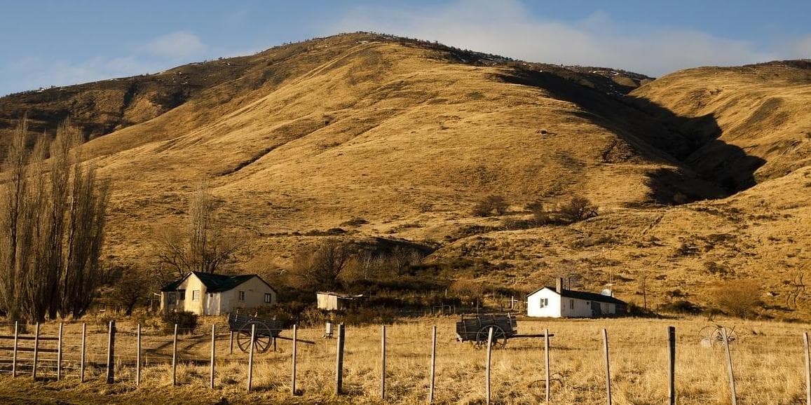 8° Giorno: Calafate B/-/-