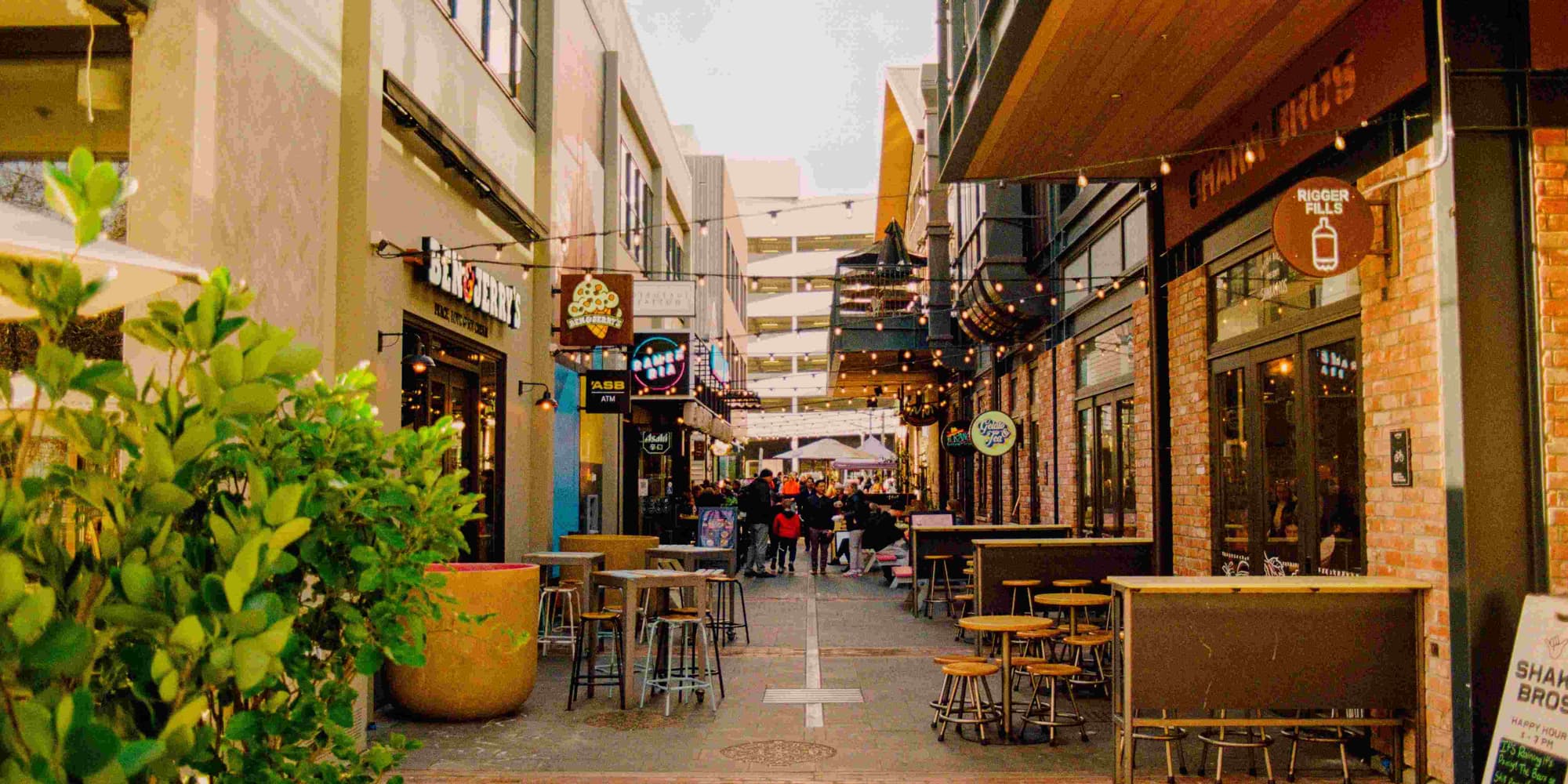 DÍA 5: OBSERVACIÓN DE ESTRELLAS Y ÚLTIMA NOCHE MÁGICA