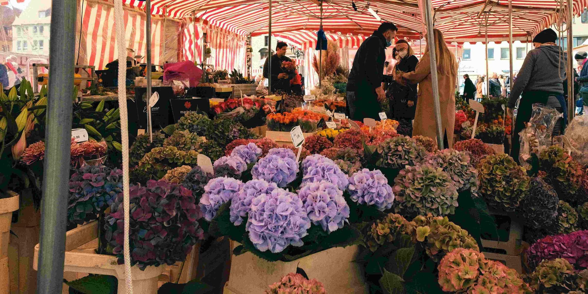 DAY 6: LAST MORNING IN NICE – FAREWELL WITH LOCAL FLAVOUR