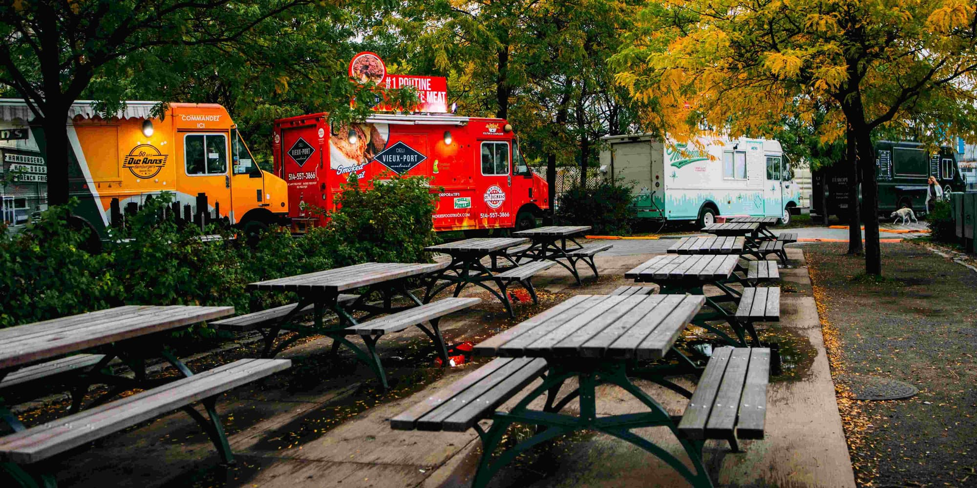 DAY 4: AMSTERDAM - BERLIN 