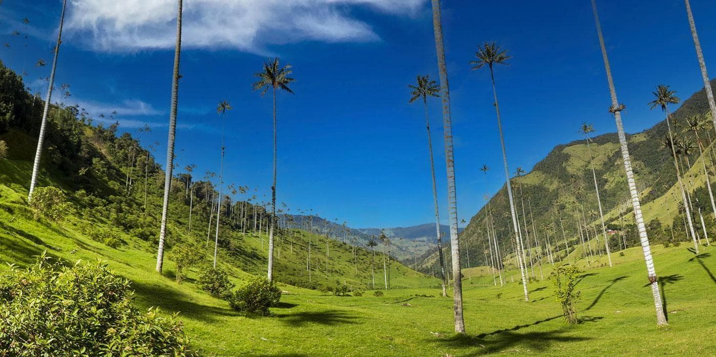 Dia 3: Vale de Cocora, Salento e Filandia 