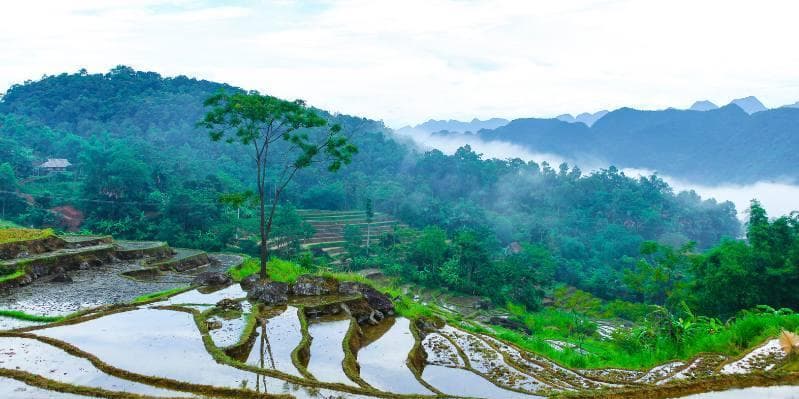 Jour 5 : Baie d'Halong – Hanoi - Hue