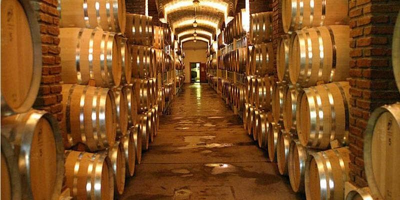 Wineries and Oil Mills tour