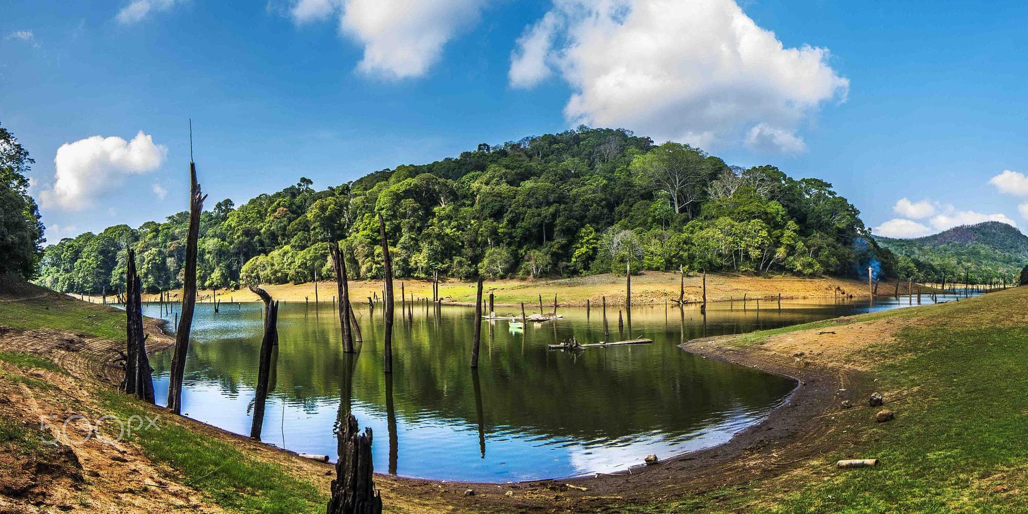 Day 04: Drive to Thekkady  (95 Km/ 03 hrs)