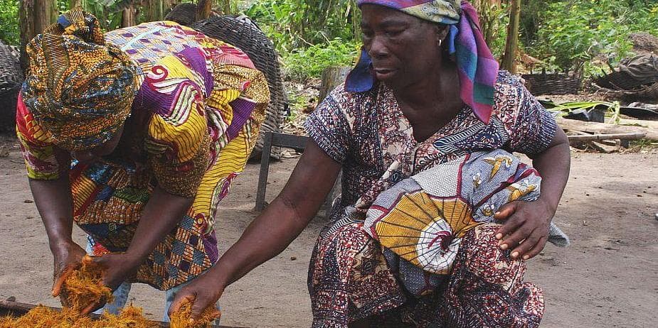 Day 01 :  Outward flight - Yaounde