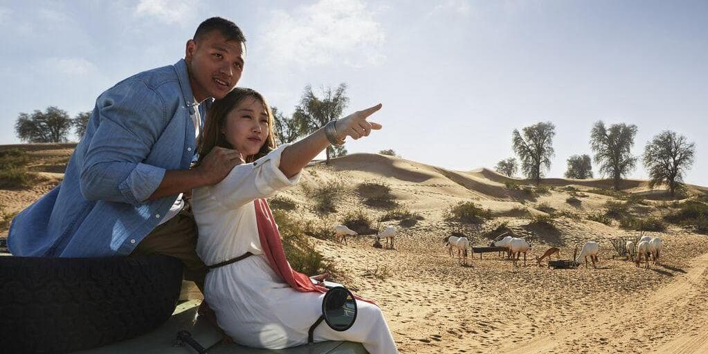 Jour 7 : Dubaï / France