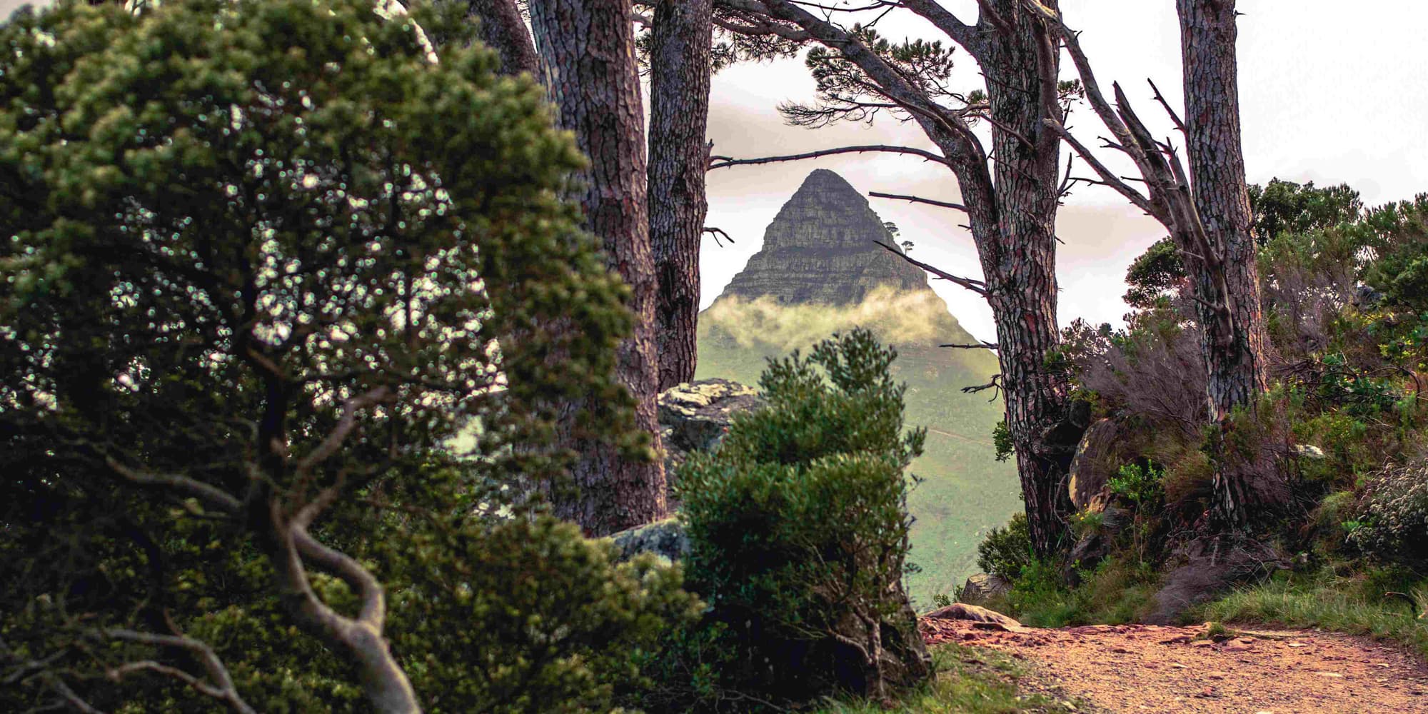 DÍA 5: OBSERVACIÓN DE ESTRELLAS Y ÚLTIMA NOCHE MÁGICA