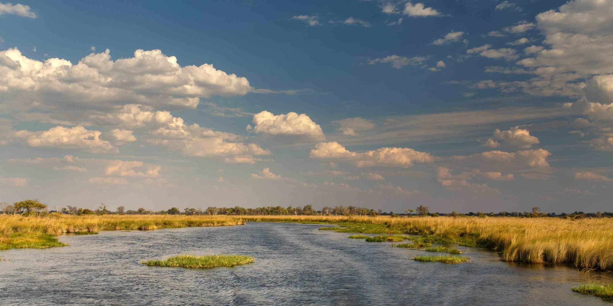 Giorno 5: Chobe – Delta dell’Okavango