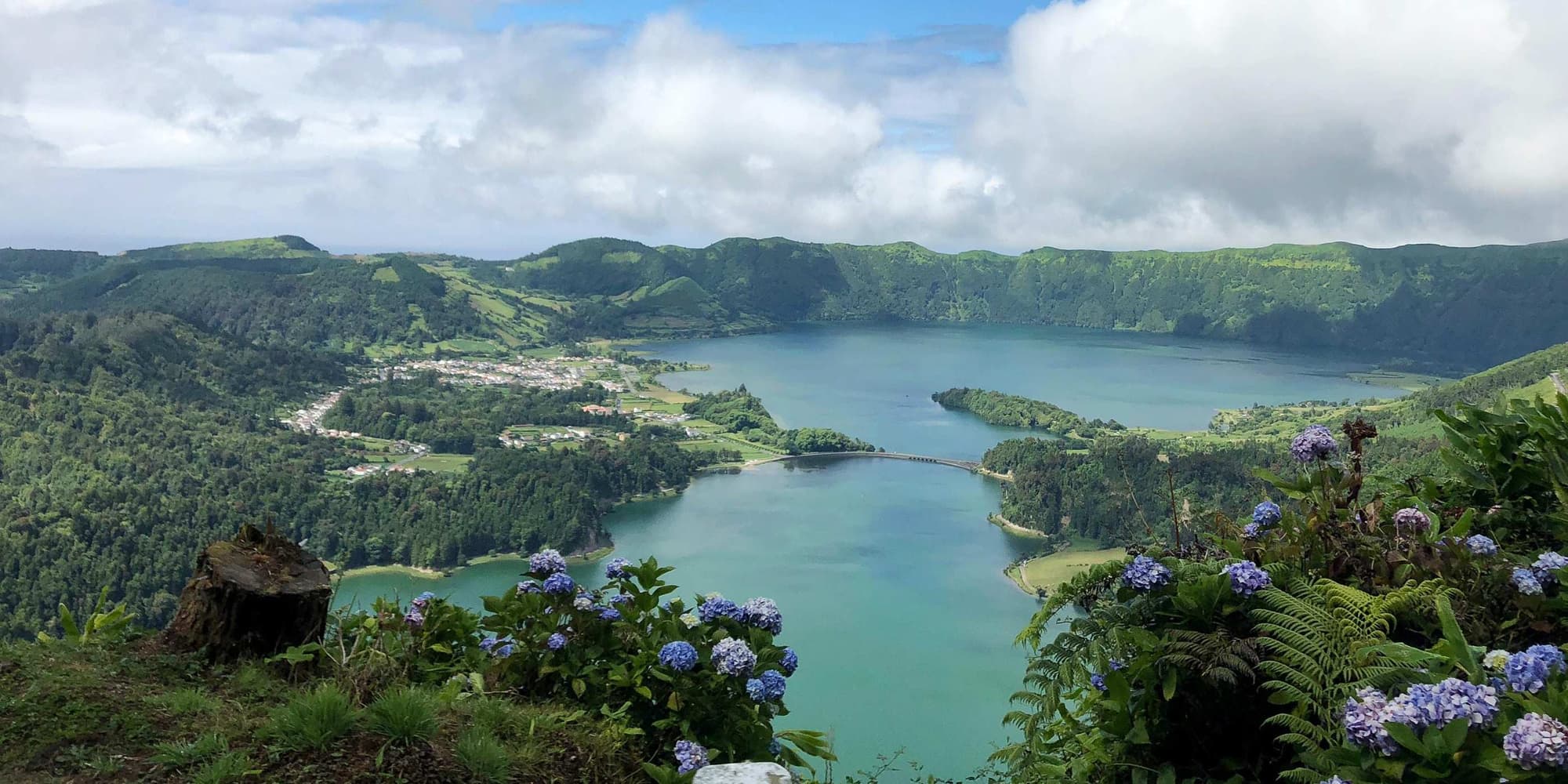 JOUR 5 : OBSERVATION DES CÉTACÉS (après-midi libre)