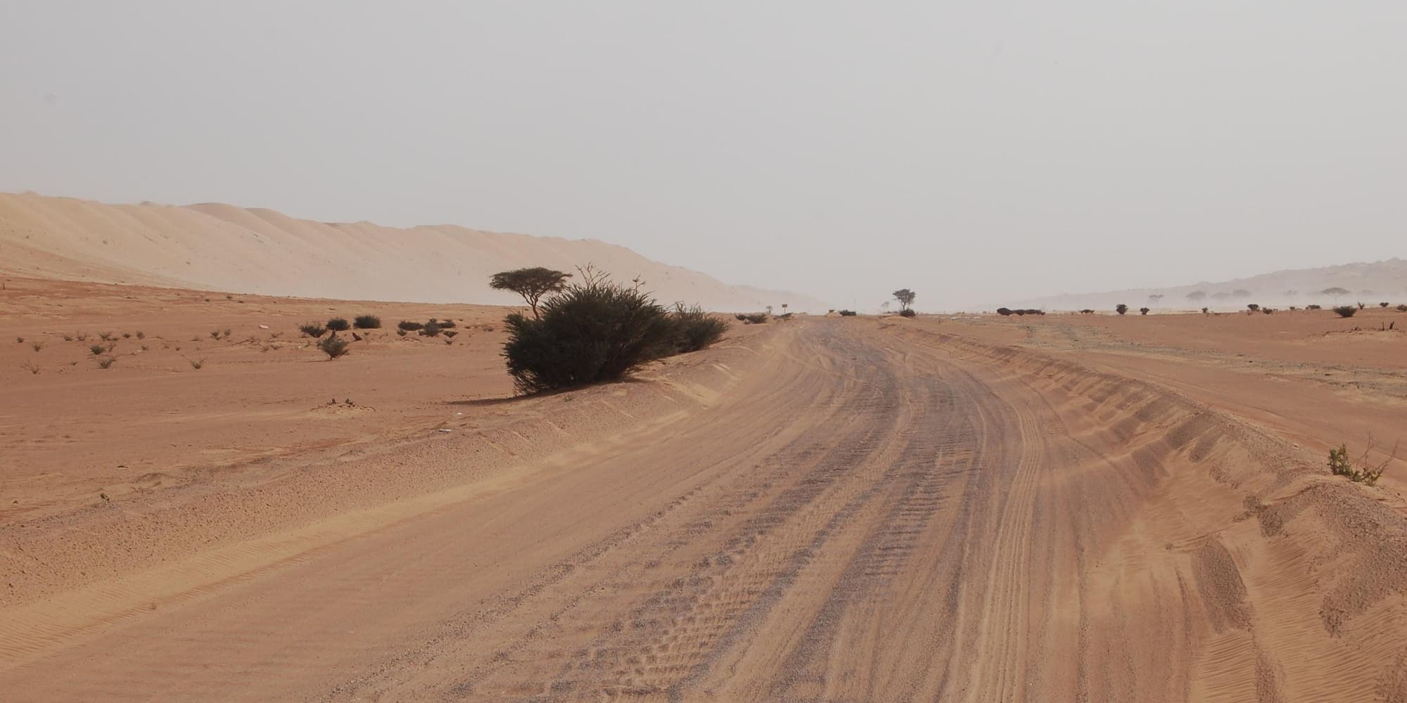 Jour 5 : Nizwa - Sinaw - Wadi Bani Khalid - 240 km