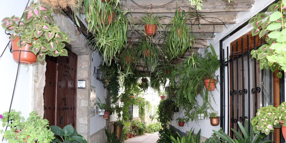 DÍA 2: CAZORLA - IZNATORAF 