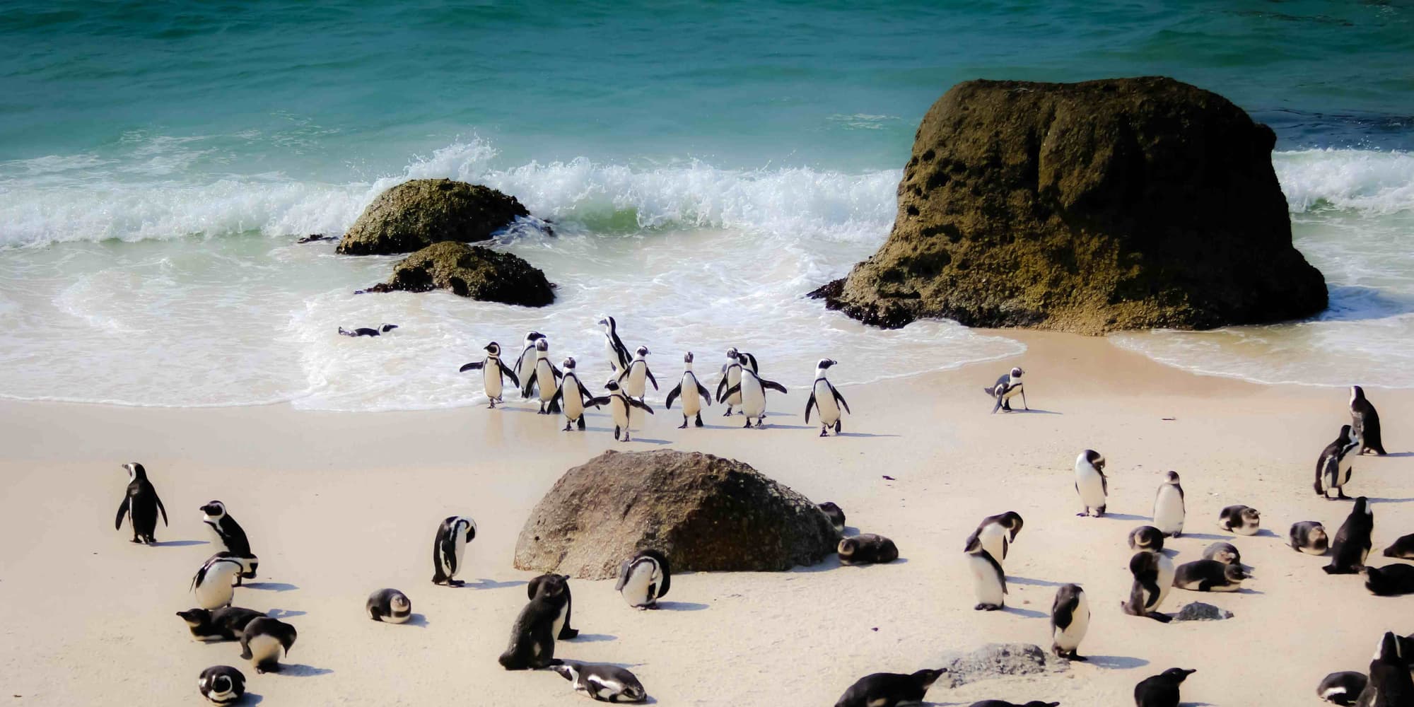 DIA 8: REGRESSO E FIM DO TOUR