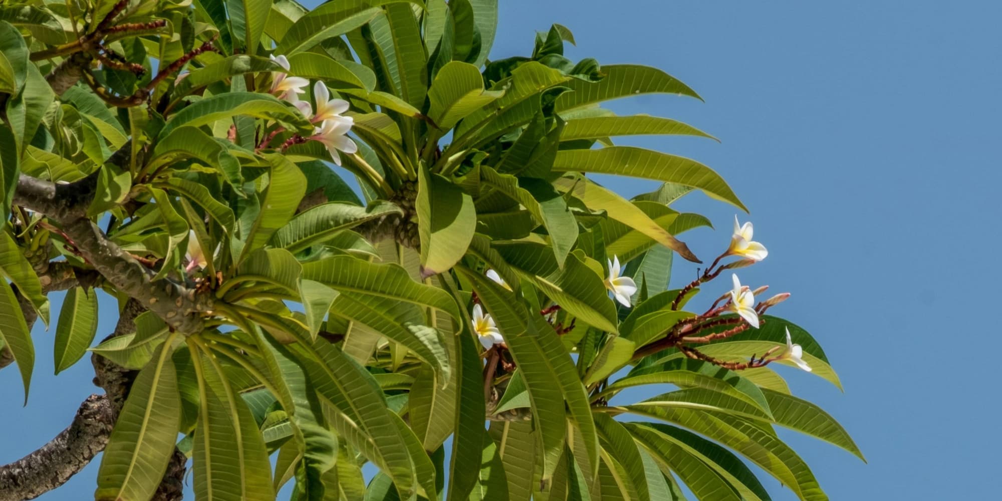 DAY 6: CLOSING WITH PURPOSE