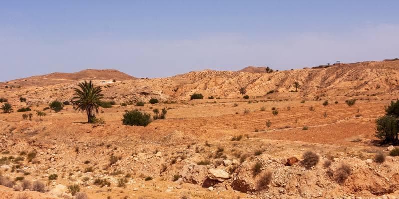 Jour 8 : Djerba / France