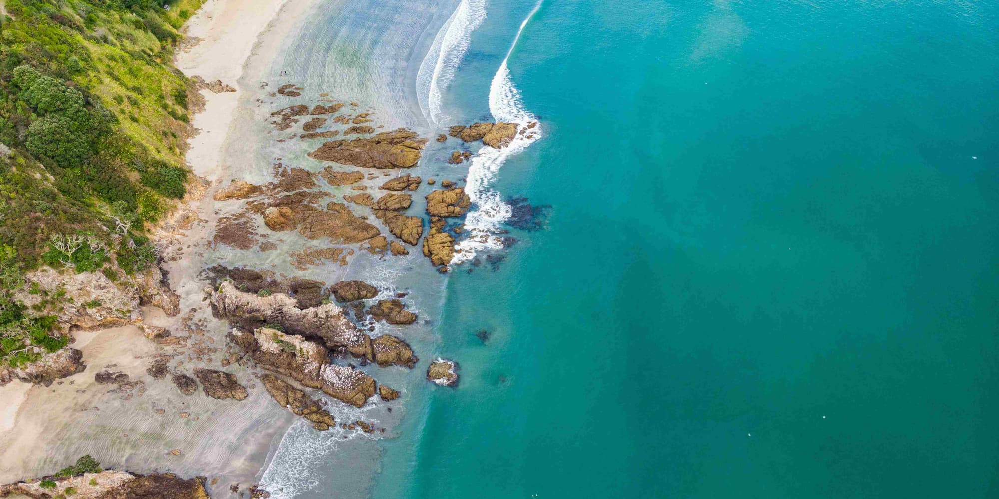 Zanzibar - Jozani National Park and Paje Beach