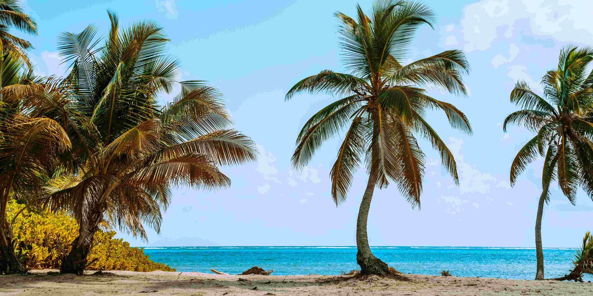 DAY 05: SAN PEDRO – PANAMA (NOVEMBER 4, 2025)