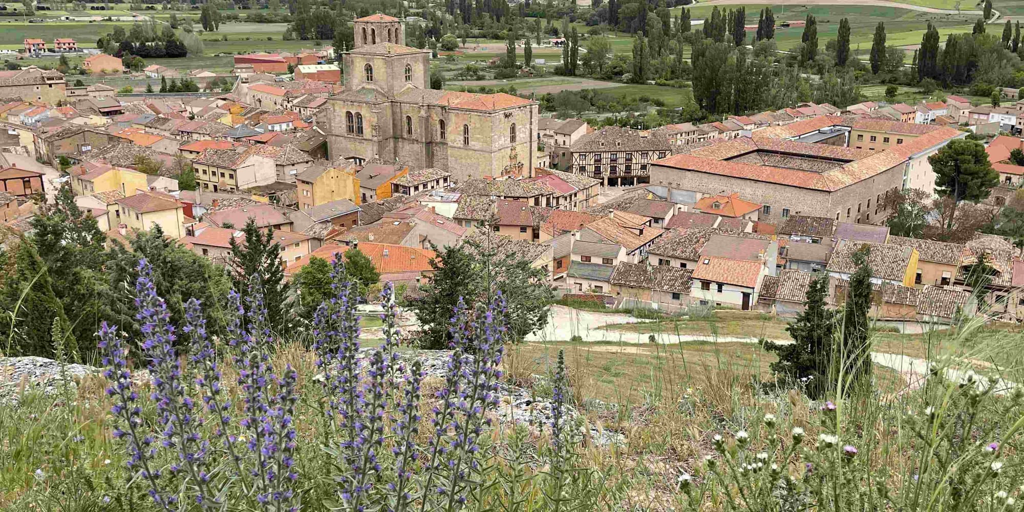 DIA 8: PEÑARANDA DE DUERO - PEÑAFIEL