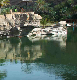 DAY 02: WAHIBA - SUR