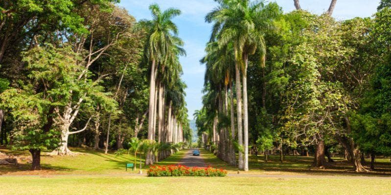 KANDY / PINNAWELA / PERADENIYA / KANDY