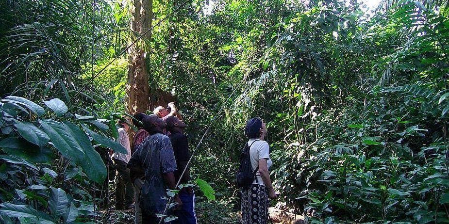 Day 3 : Bertoua – Yokadouma