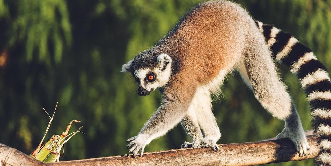 Day 2 Diégo-Suarez (Antsiranana) Visita di Ramena e le Baie di Diego Suarez 