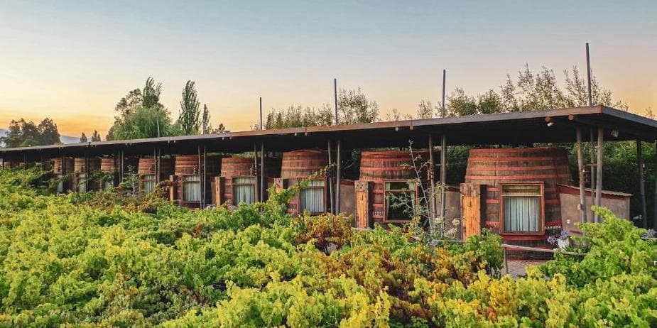 Santa Cruz, Colchagua