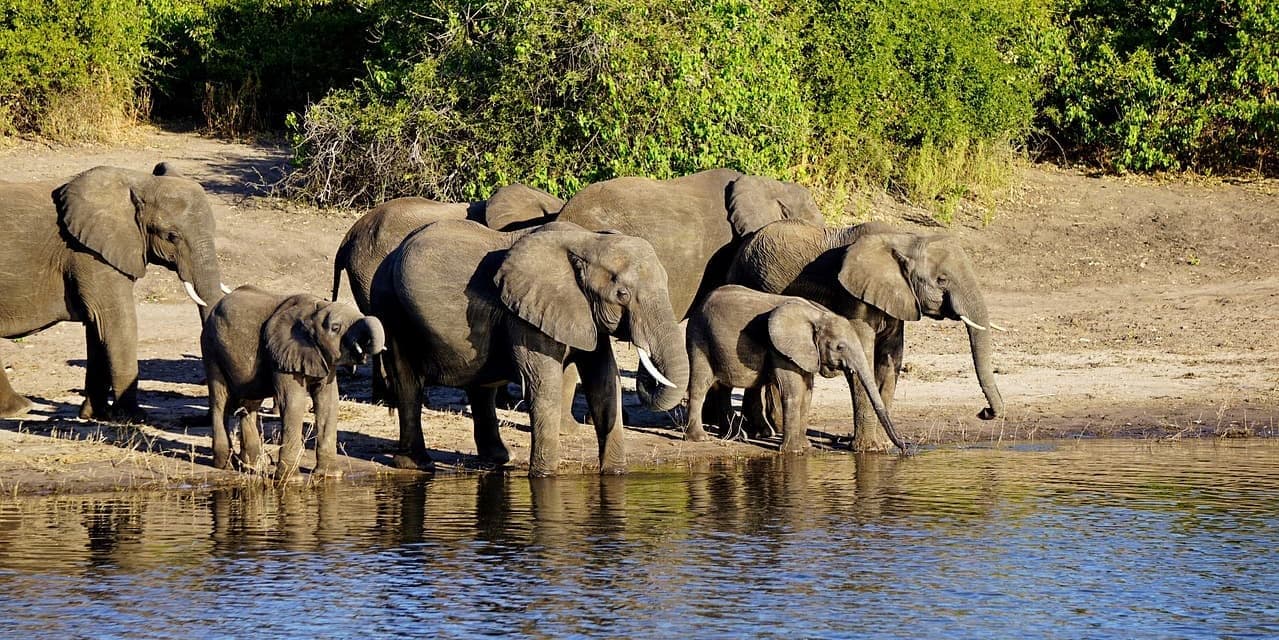 GIORNO 4 VENERDÌ: KHON KAEN - NAM NAO NATIONAL PARK - PHITSANULOK - SUKHOTHAI