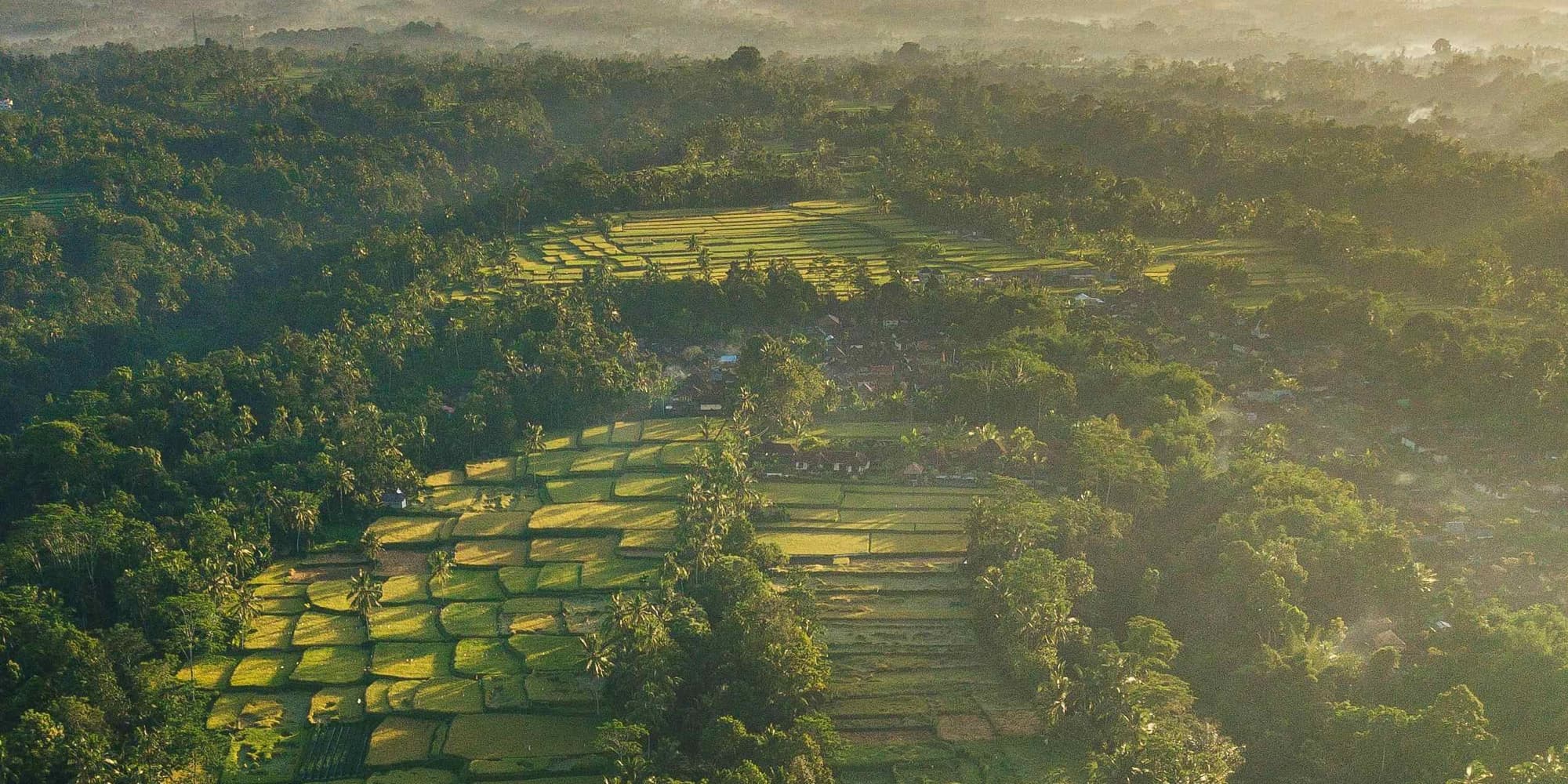 Day 6: Excursion to the best of Ubud (waterfalls & rice fields & monkey forest)