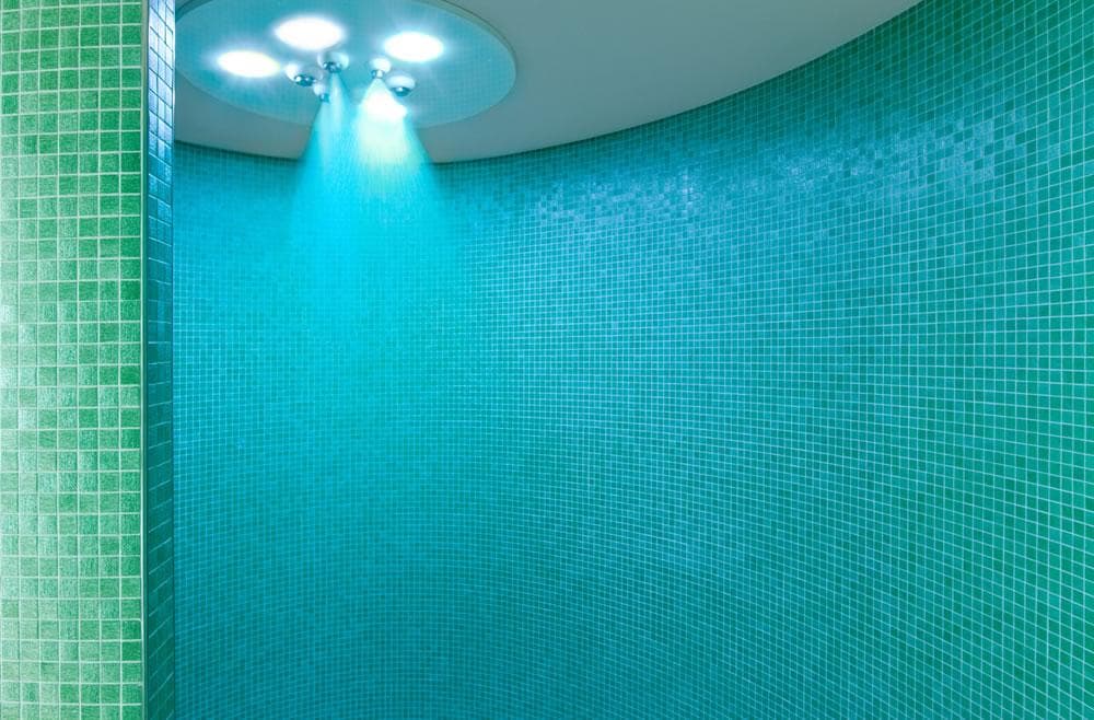 Celebrity Reflection