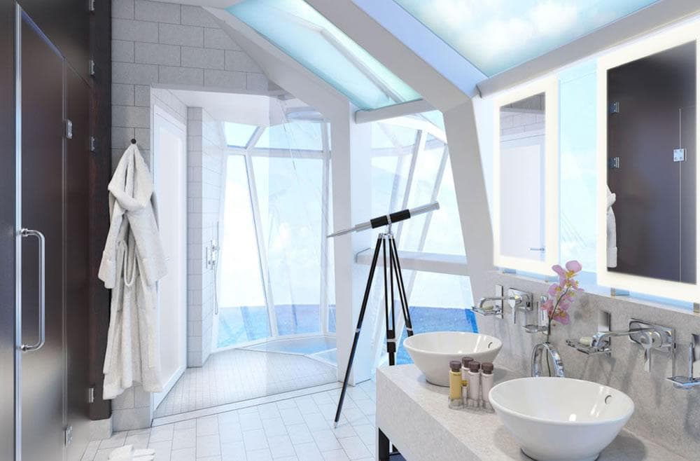 Celebrity Reflection