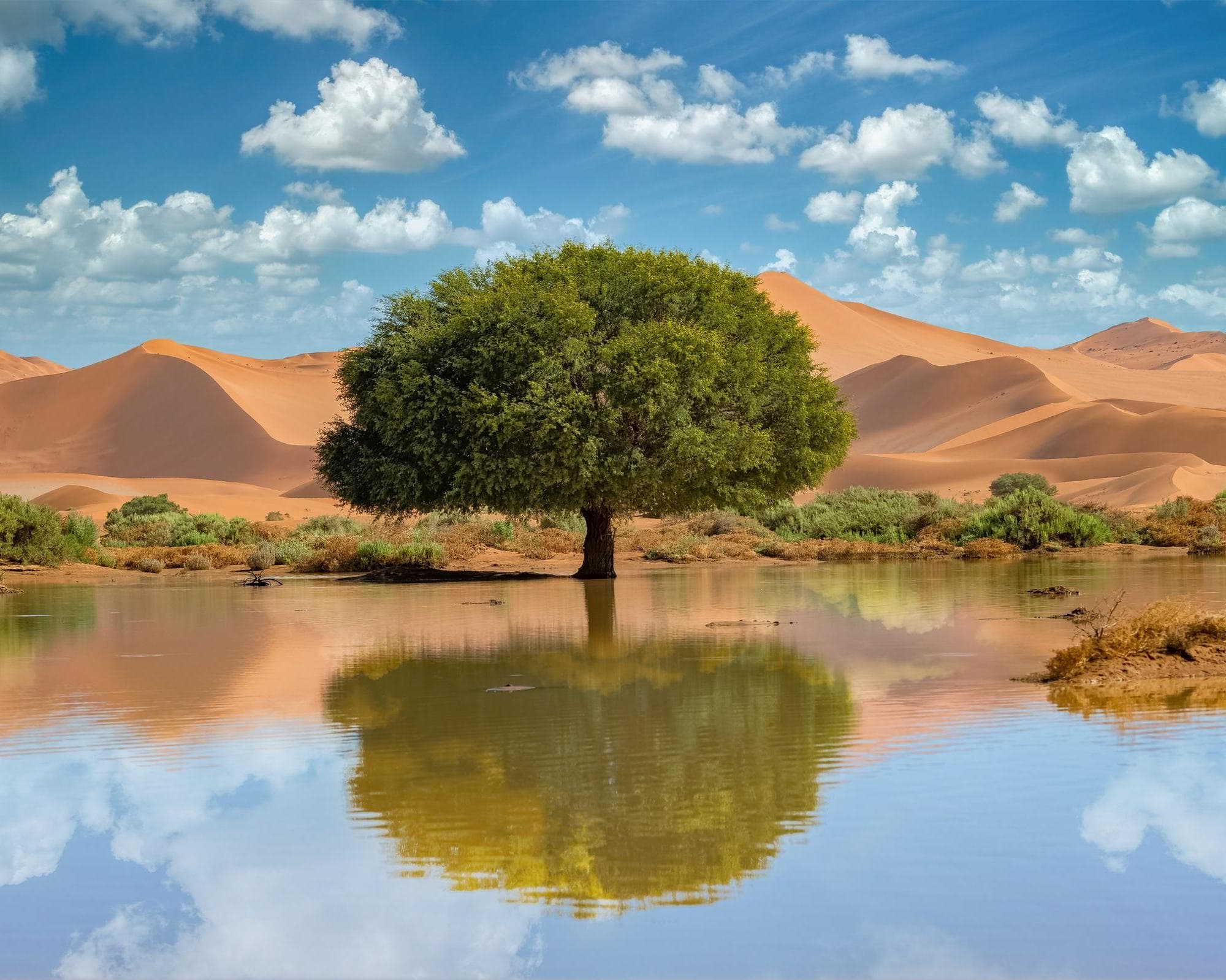 Sossusvlei, Namibia