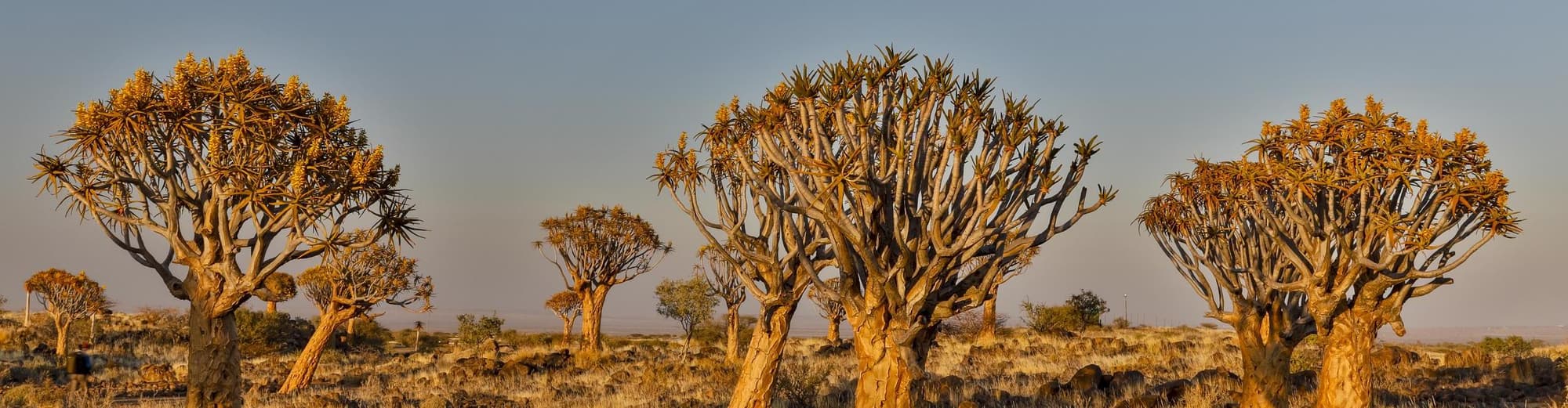 Keetmanshoop, Namibia