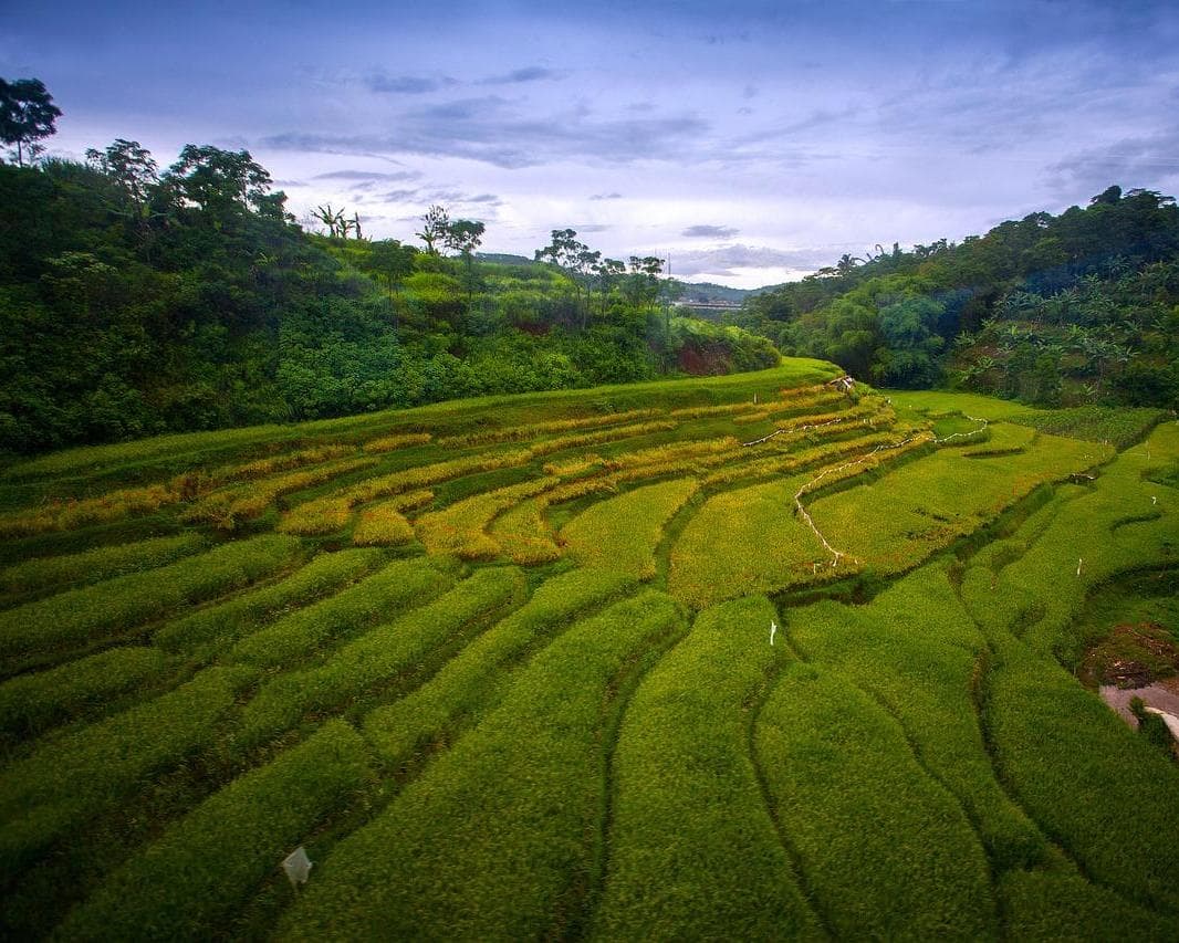 Ketapang, Endonezya dili